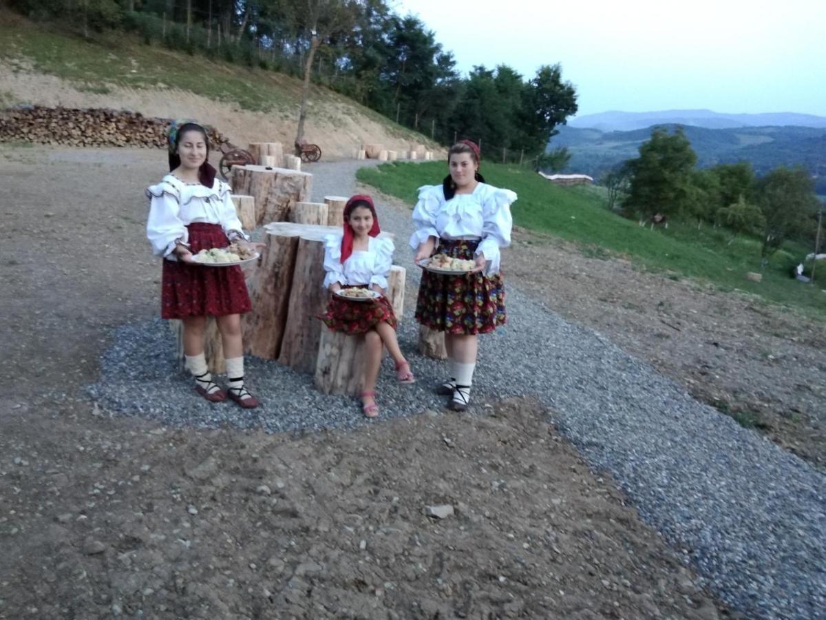 Pensiunea Valea Branzei Nanesti Extérieur photo