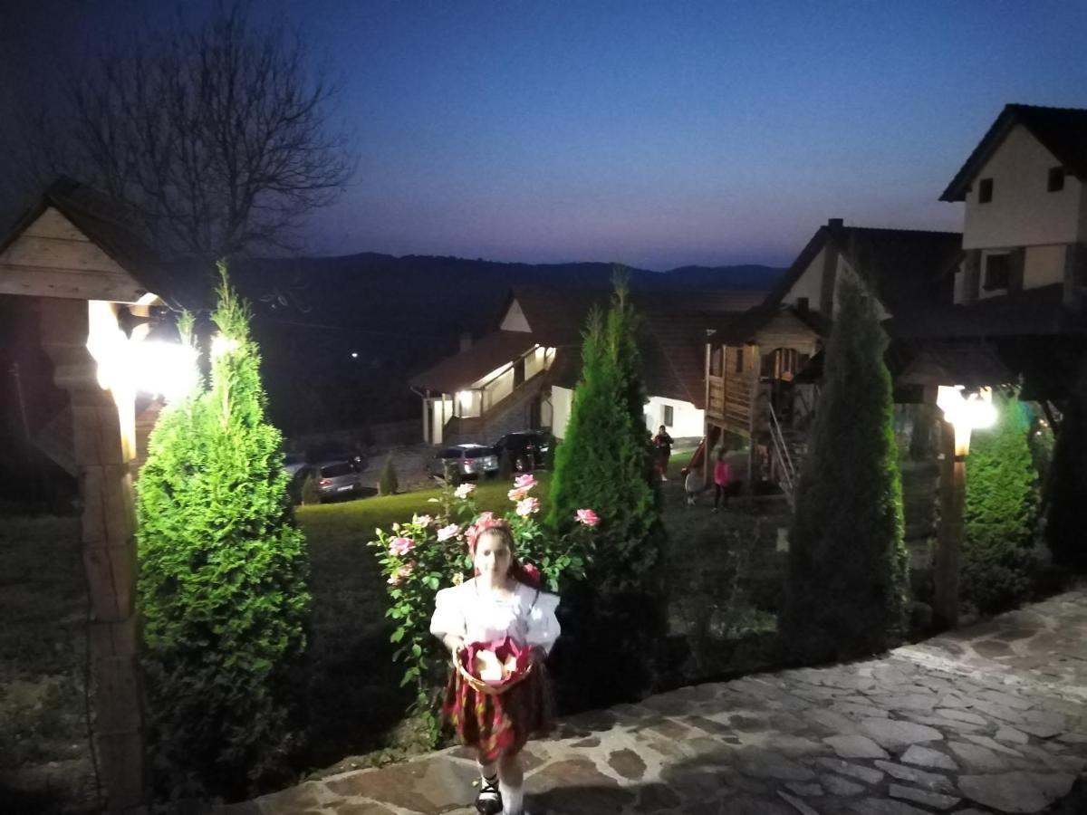 Pensiunea Valea Branzei Nanesti Extérieur photo