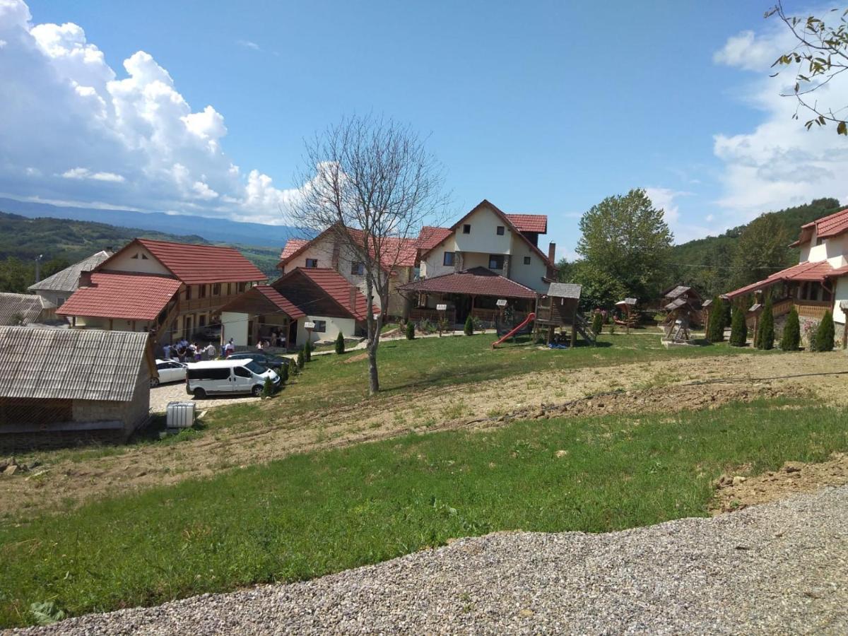 Pensiunea Valea Branzei Nanesti Extérieur photo