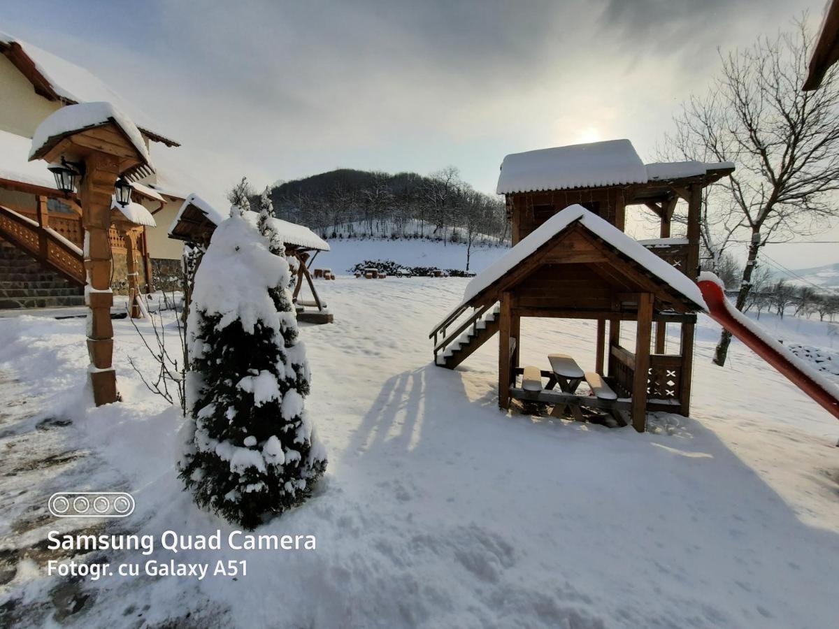 Pensiunea Valea Branzei Nanesti Extérieur photo
