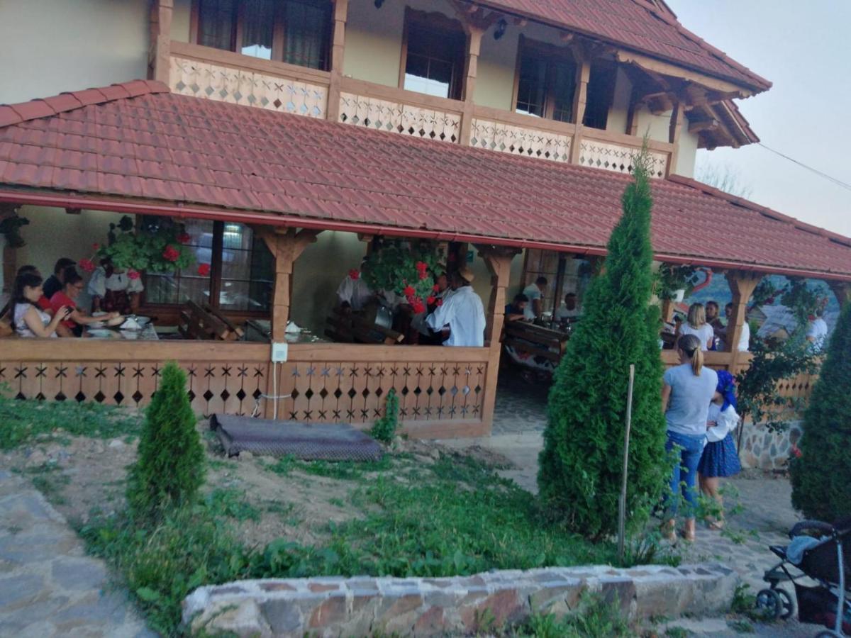 Pensiunea Valea Branzei Nanesti Extérieur photo