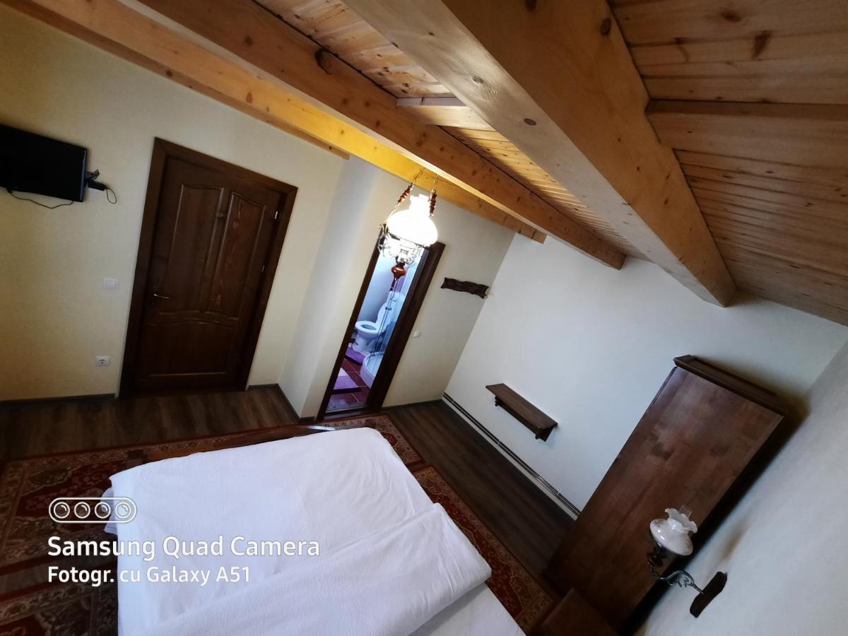 Pensiunea Valea Branzei Nanesti Extérieur photo