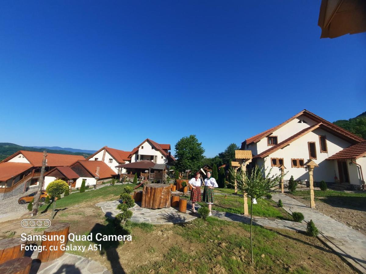 Pensiunea Valea Branzei Nanesti Extérieur photo