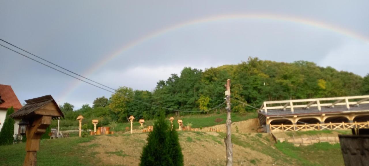 Pensiunea Valea Branzei Nanesti Extérieur photo