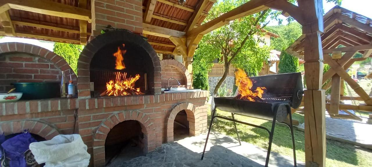 Pensiunea Valea Branzei Nanesti Extérieur photo