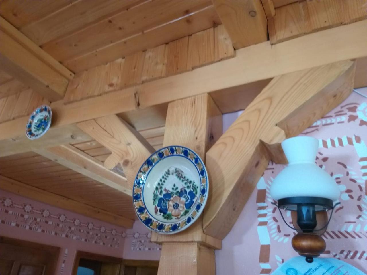 Pensiunea Valea Branzei Nanesti Extérieur photo