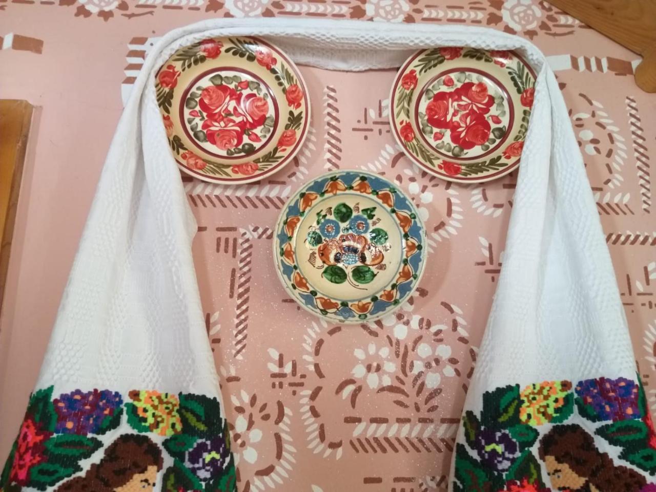 Pensiunea Valea Branzei Nanesti Extérieur photo