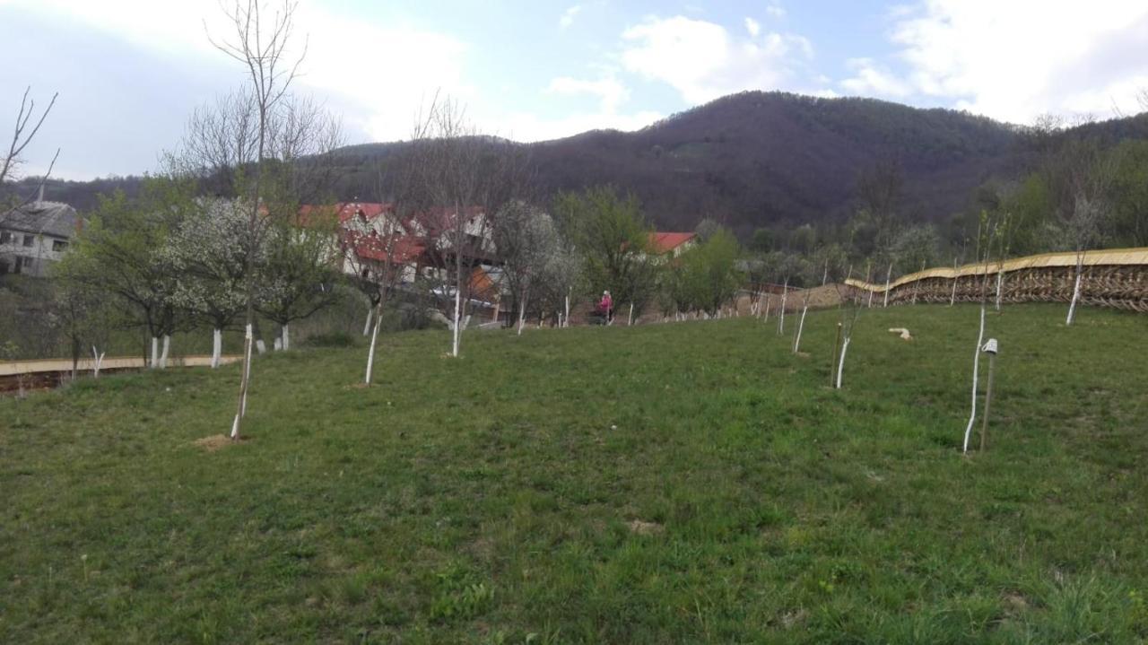Pensiunea Valea Branzei Nanesti Extérieur photo